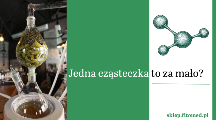 Jedna cząsteczka to za mało? Dlaczego warto spojrzeć na kosmetyk jak na całą roślinną recepturę